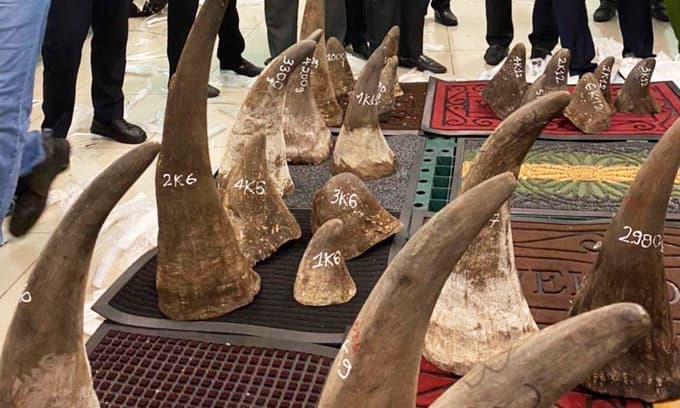 93 kilos of suspected rhino horns found in Saigon warehouse