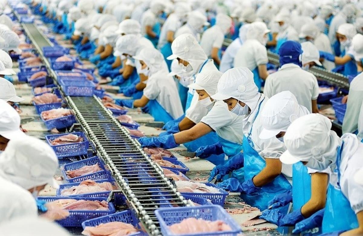 A challenging year ahead for fisheries sector in 2021