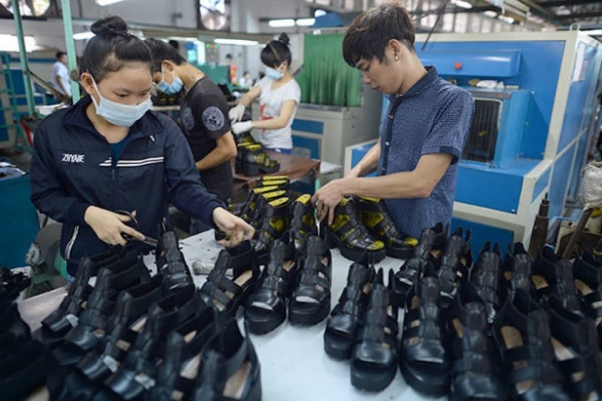 CPTPP a driving force behind Vietnamese exports to Latin America