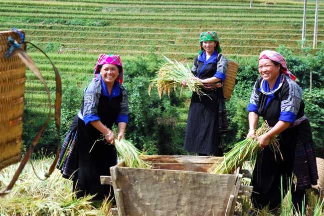 Gov’t to issue new benchmark for multidimensional poverty