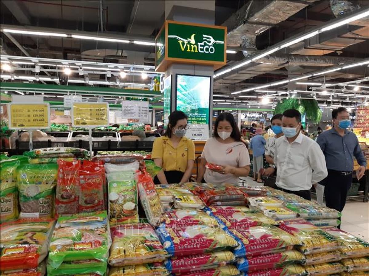 Hanoi pledges sufficient commodities for upcoming Tet