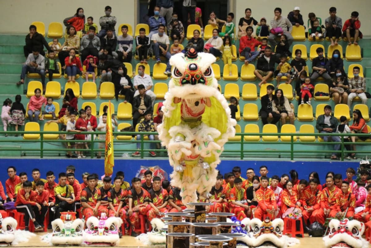 Lion Dance Festival 2020 excites crowds in Thua Thien-Hue province