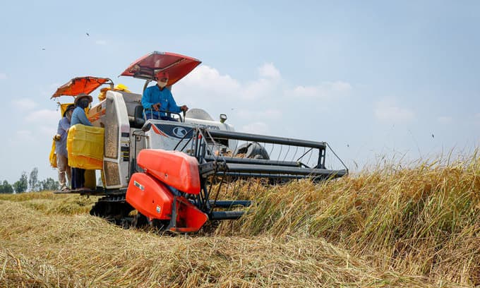 Vietnam rates hit 9-yr peak on supply crunch; Thai rates dip