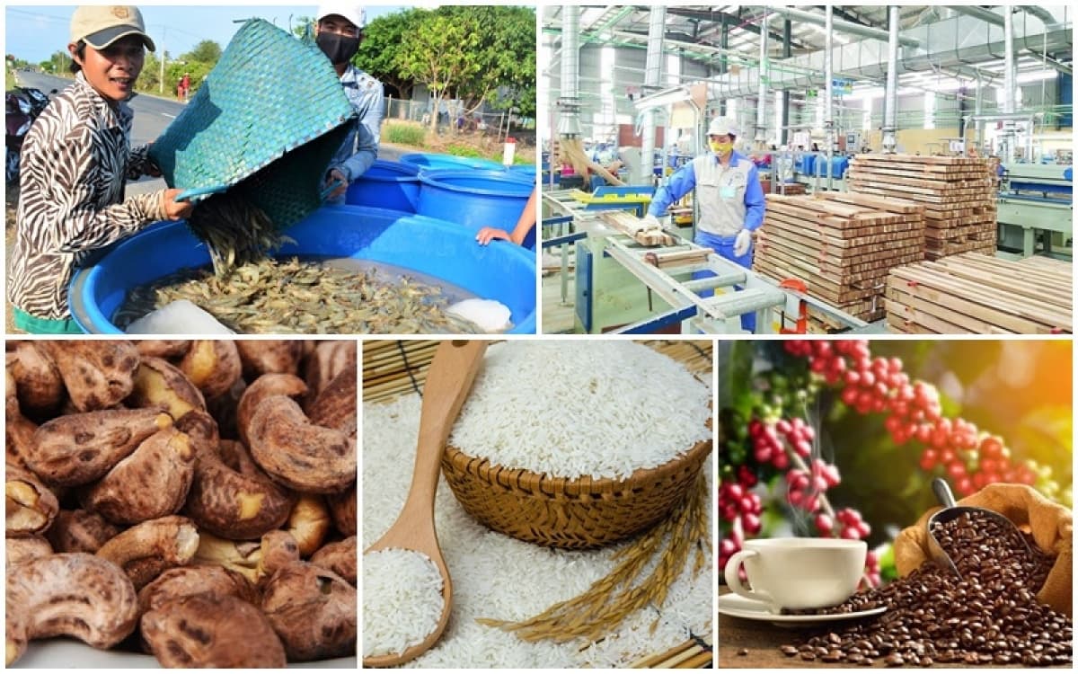 Eight groups of agricultural products surpass billions of US$ in revenue