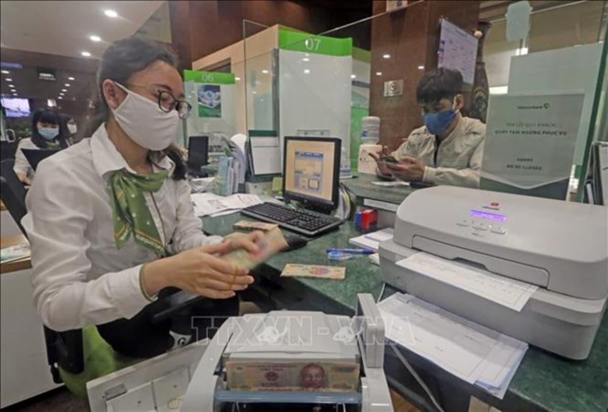 Credit growth forecast to reach 13-14% this year: SSI