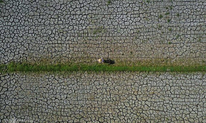 2020 ties 2016 as hottest year on record