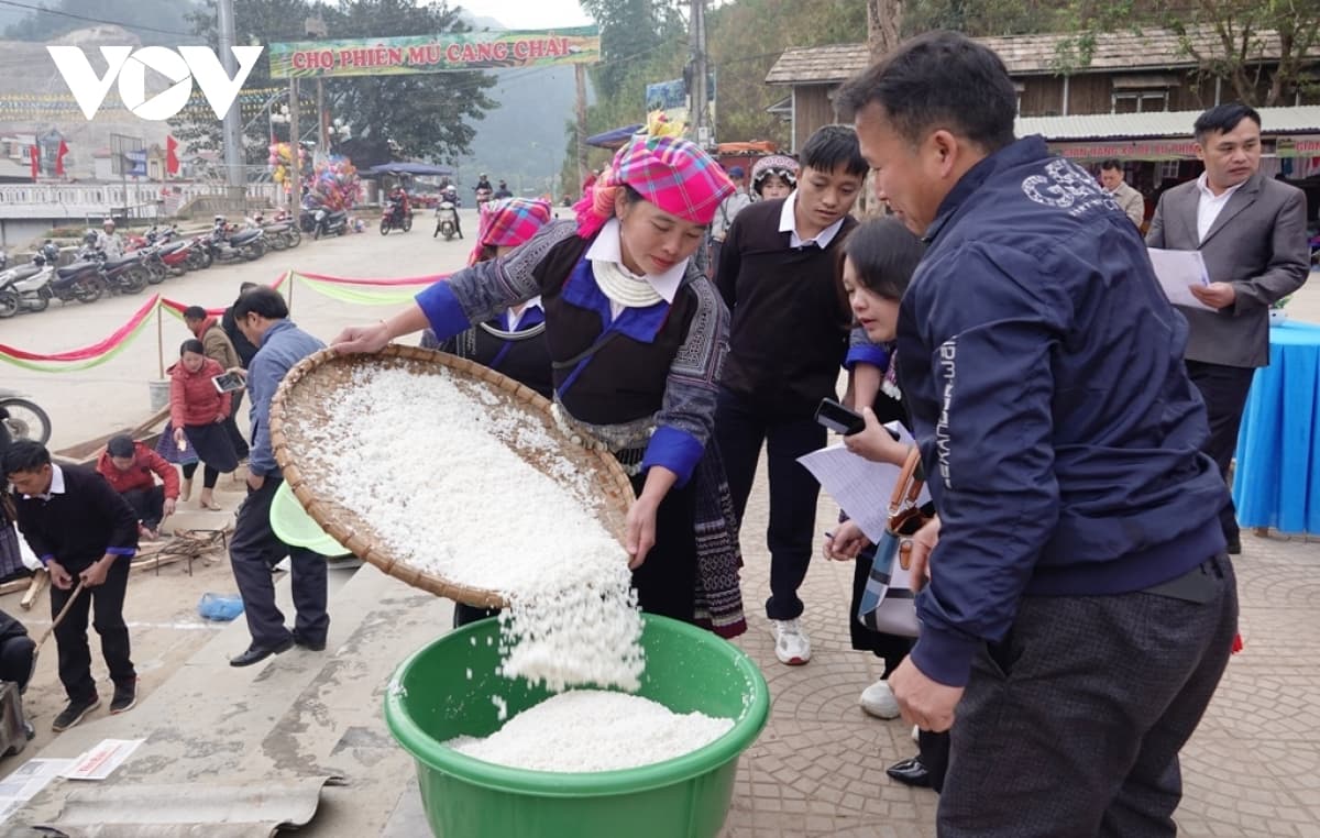 Mu Cang Chai hosts first Banh Day pounding festival