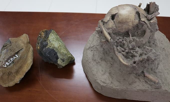 Vietnamese researchers extract DNA from ancient animal bone for first time