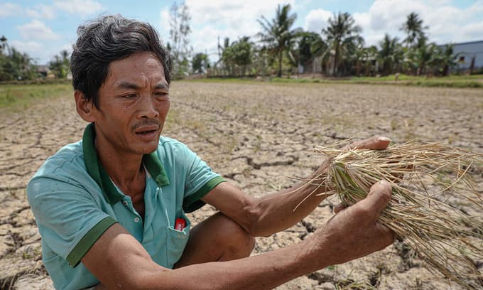 Mekong Delta saltwater intrusion not to be as severe as 2020