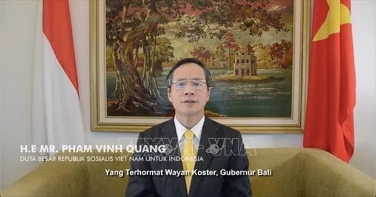 Indonesia-Vietnam Friendship Association promotes bilateral ties