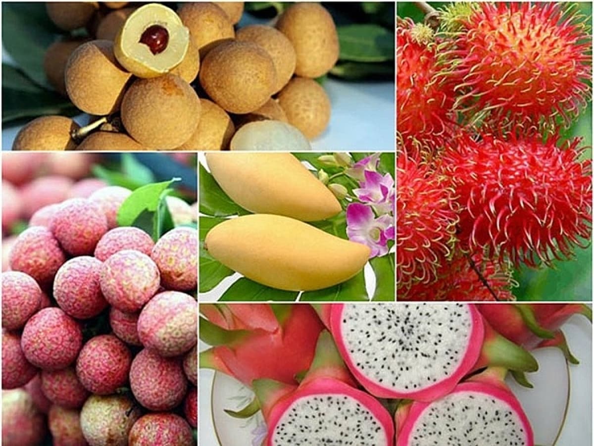 Fruit, nut exports to demanding markets enjoy growth