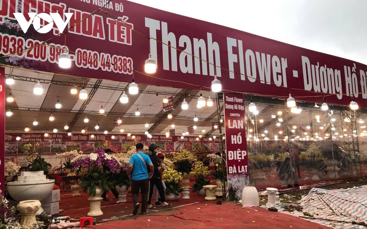 Hanoi poised to host 89 flower markets in build up to Tet