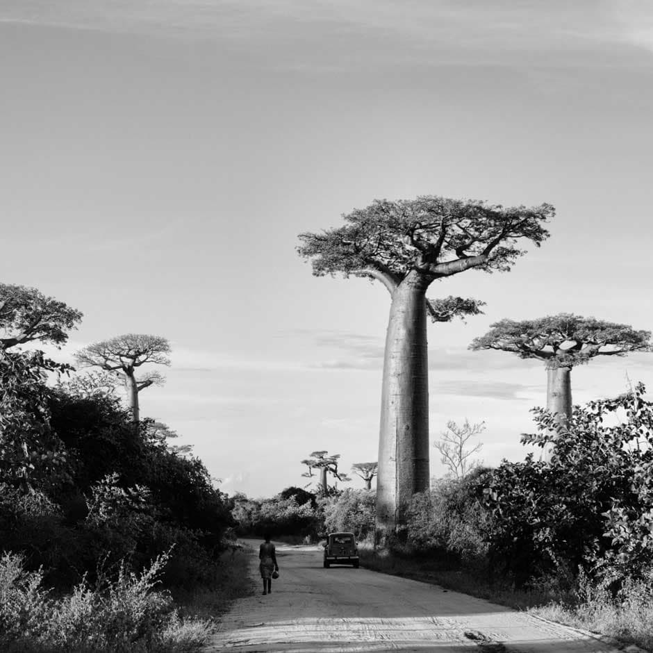 Vietnamese lensman depicts year-long Madagascar-Siberia journey in black and white