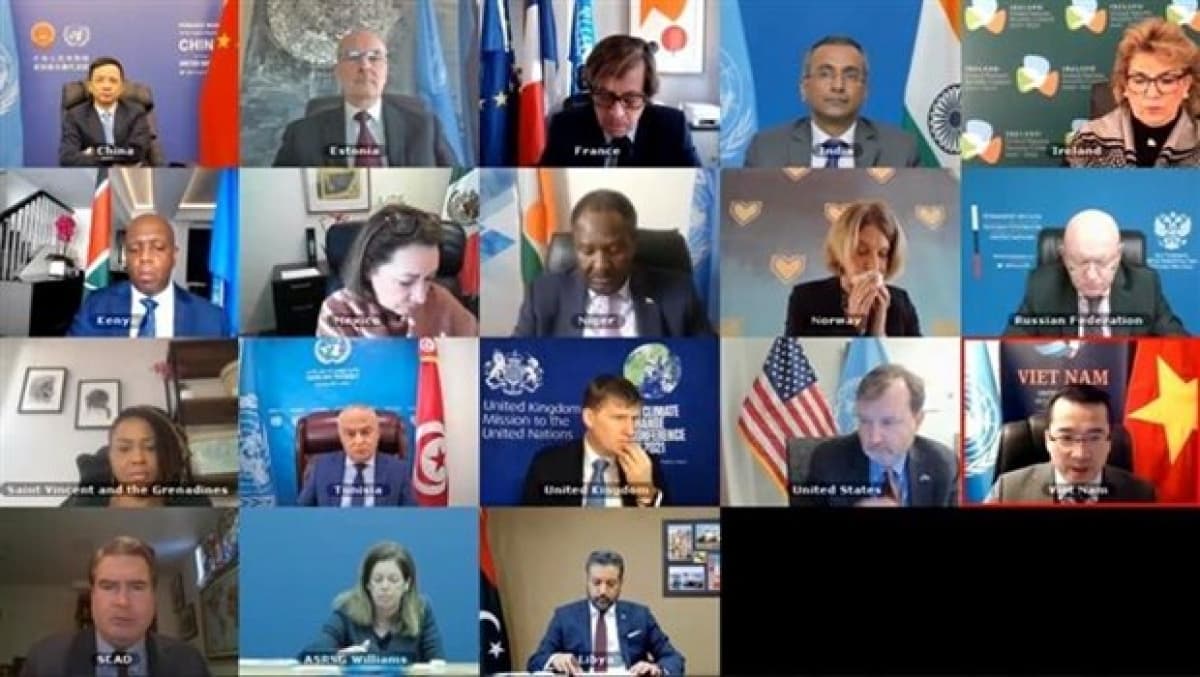 Vietnam backs comprehensive political solution to Libyan issue: Diplomat