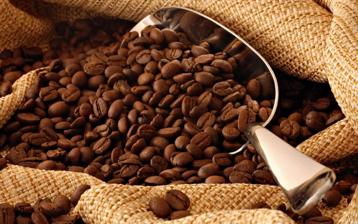 Coffee sector to boost exports on EVFTA incentives