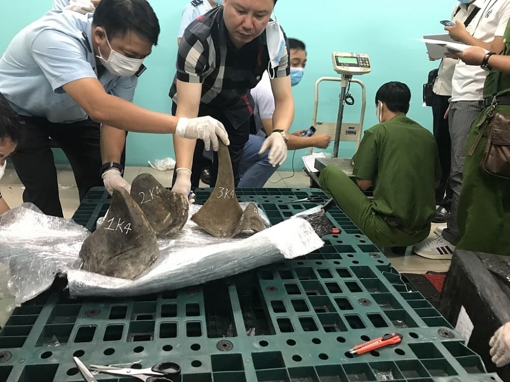 HCM City Customs: Closely control goods in transit across border gates