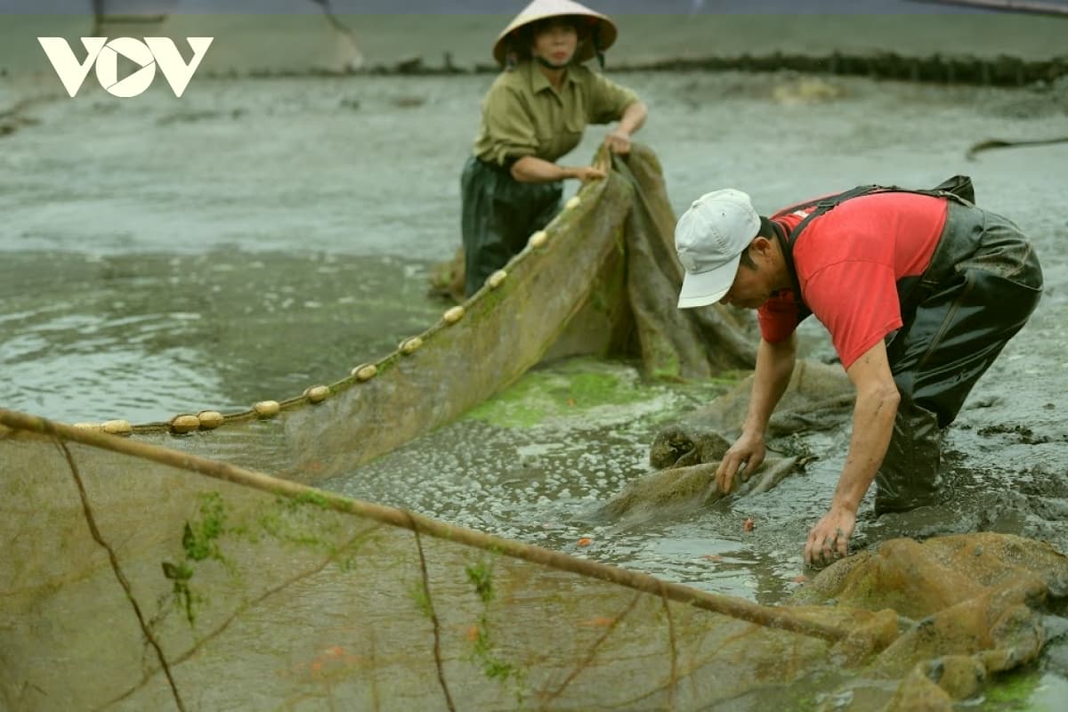 Thuy Tram carp village busy on Kitchen Gods Day
