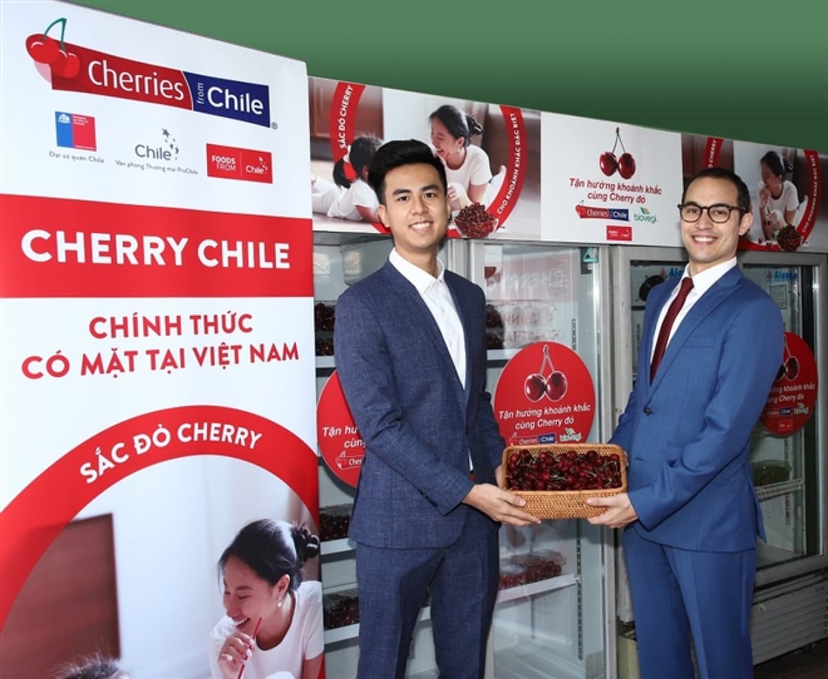 First Chilean cherries enter Vietnamese market