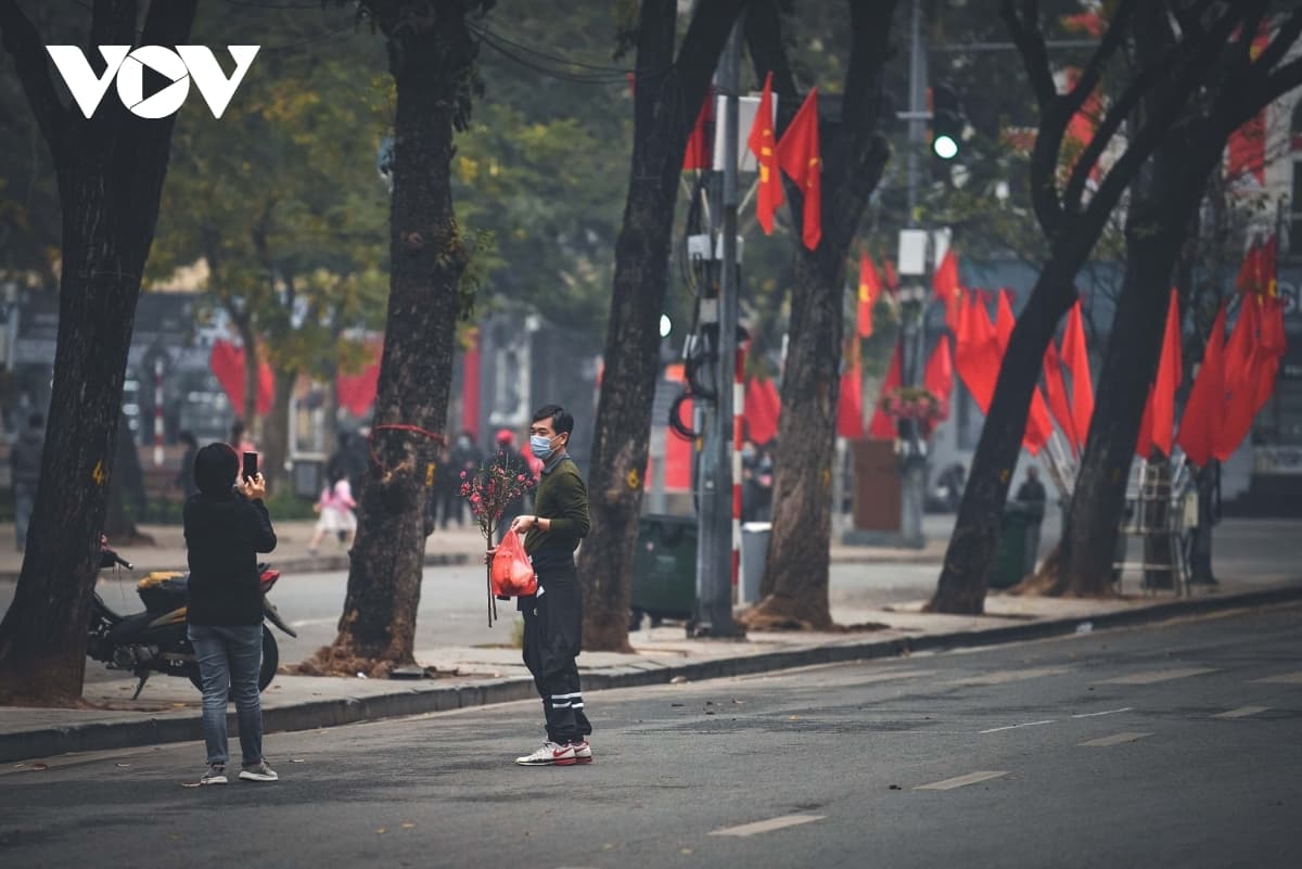 Hanoi adorned with colourful peach flowers, kumquat trees ahead of Tet