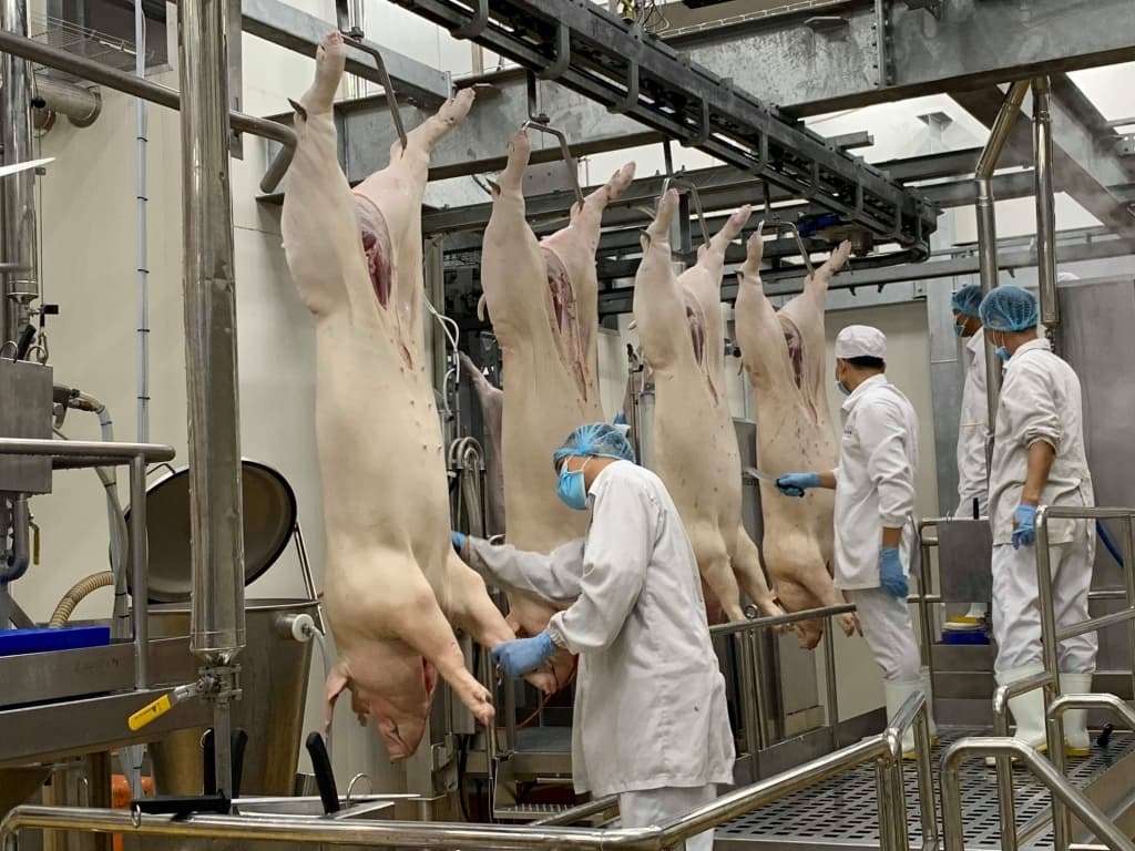 Price of pork increases as Tet nears, the Ministry of Industry and Trade wants to facilitate imports