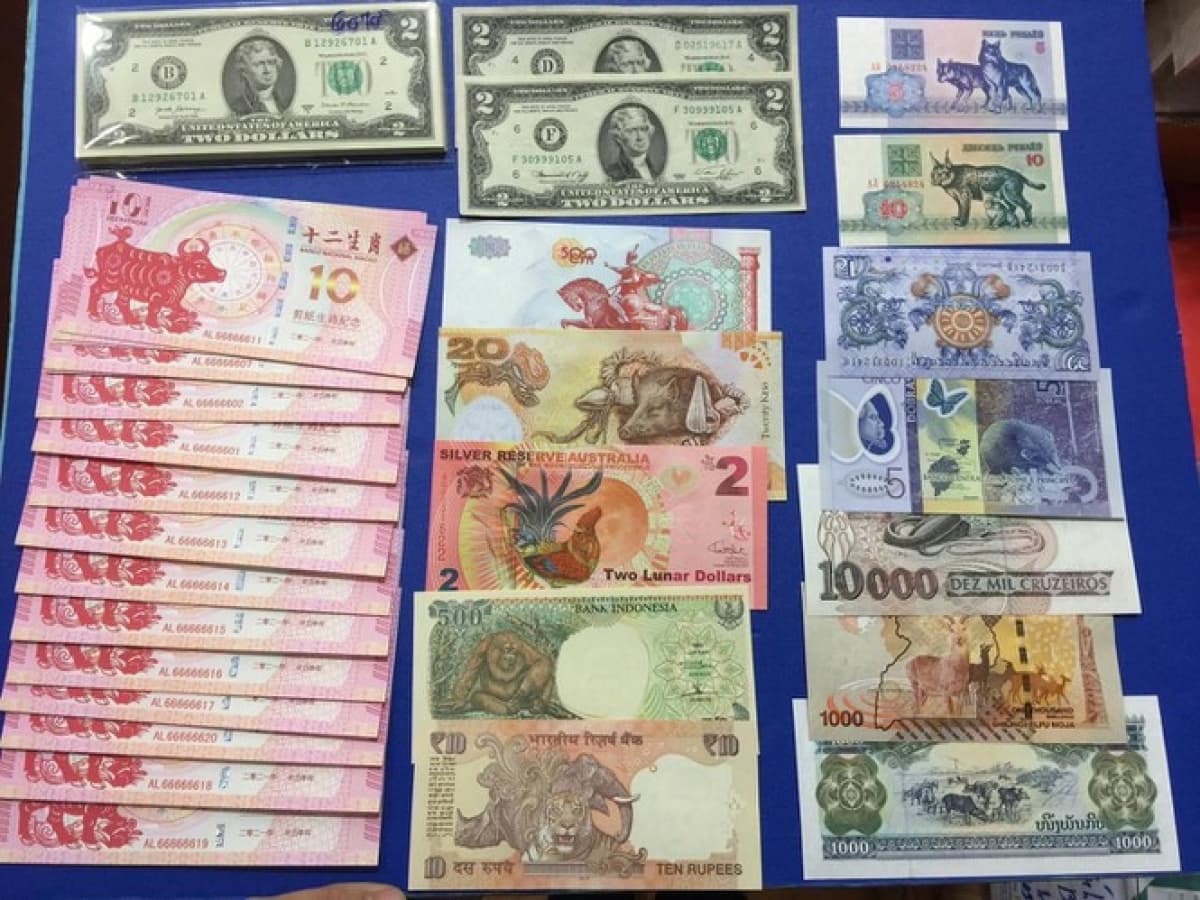 Buffalo-themed paper money and coins go on sale