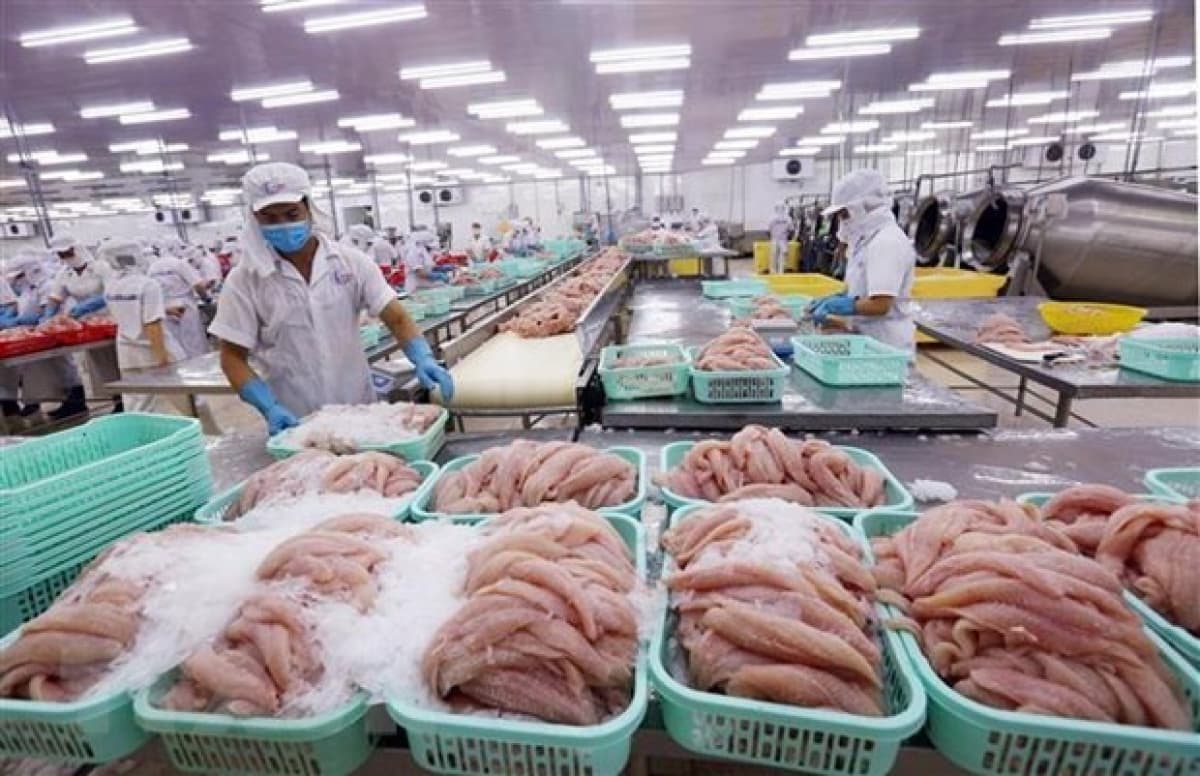 More trade remedy probes predicted for Vietnamese enterprises this year