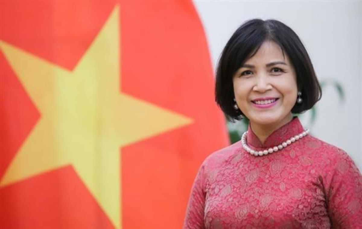 Vietnam supports, congratulates new WTO leader: Ambassador