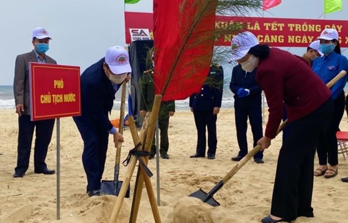 Vice President joins tree-planting festival in Quang Binh