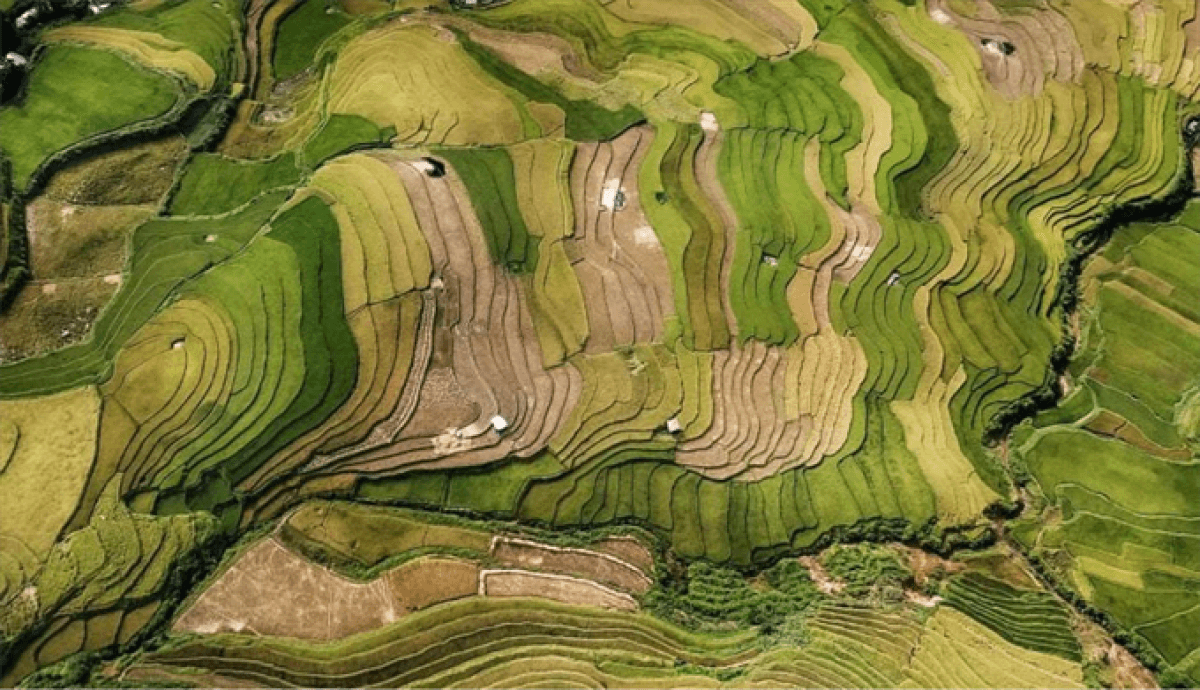 Local photographer wins top prize at international contest