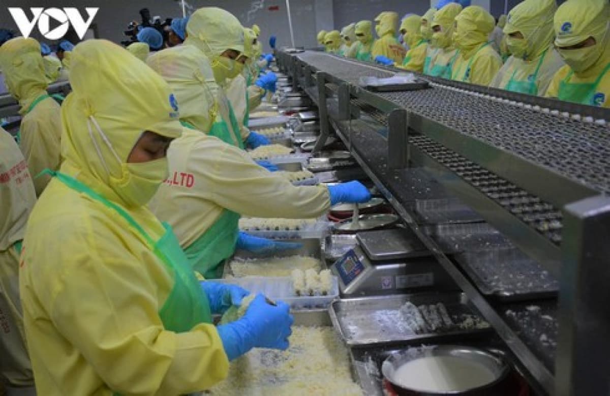 US’s removal of anti-dumping duties on Minh Phu frozen shrimp a fair decision: MoIT