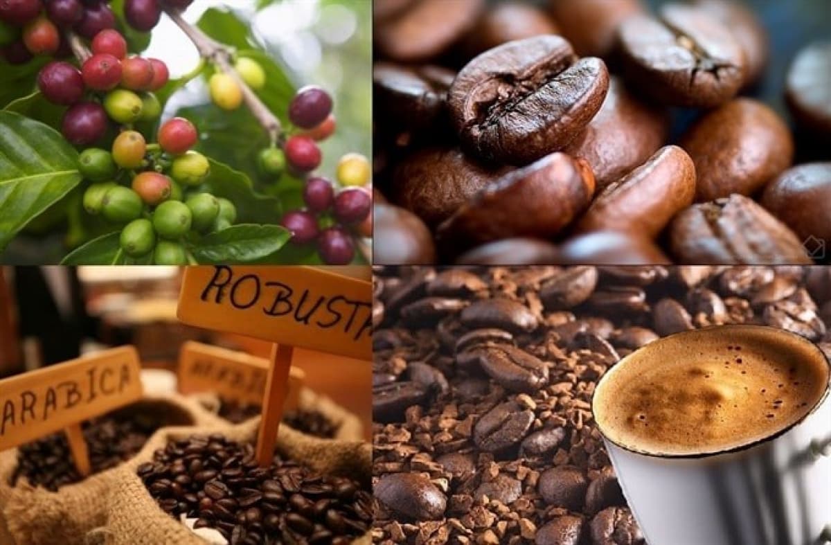 Coffee industry seeks to weather COVID-19 crisis