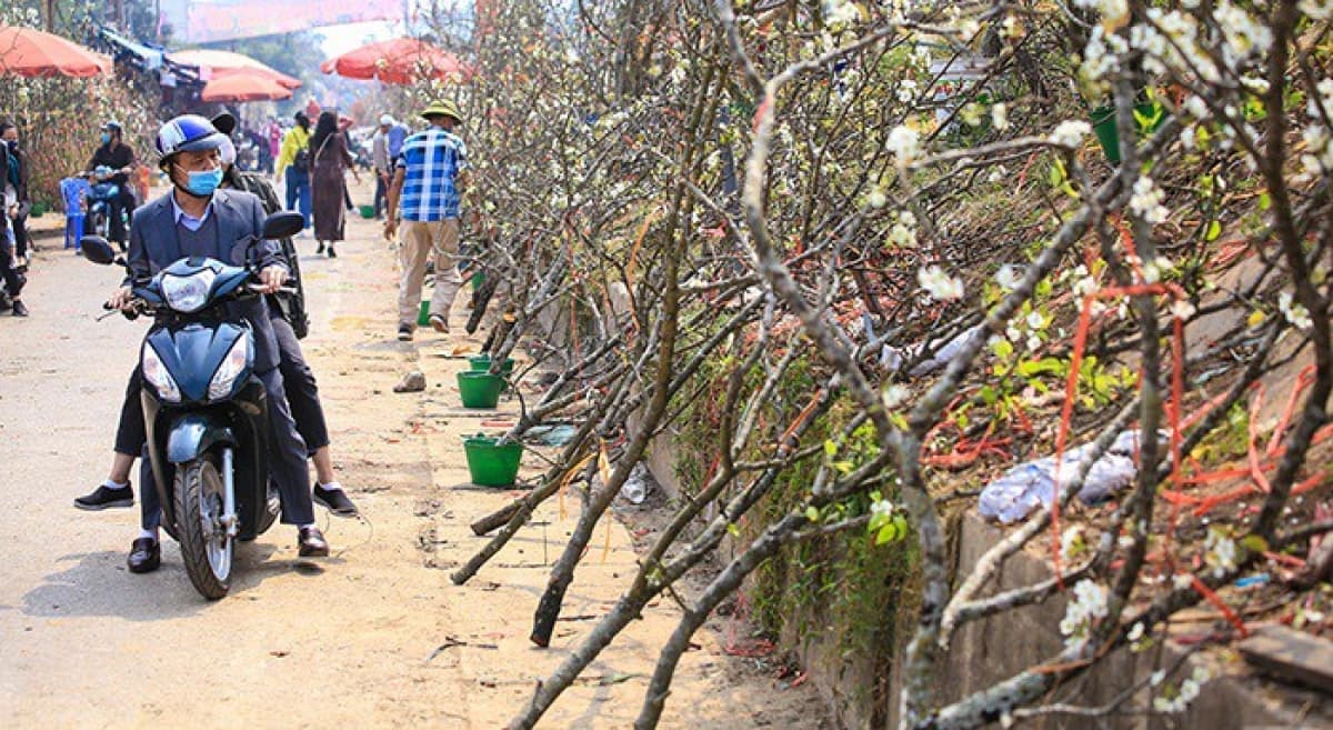 Hanoians prepare flower offerings on 15th day of first lunar month