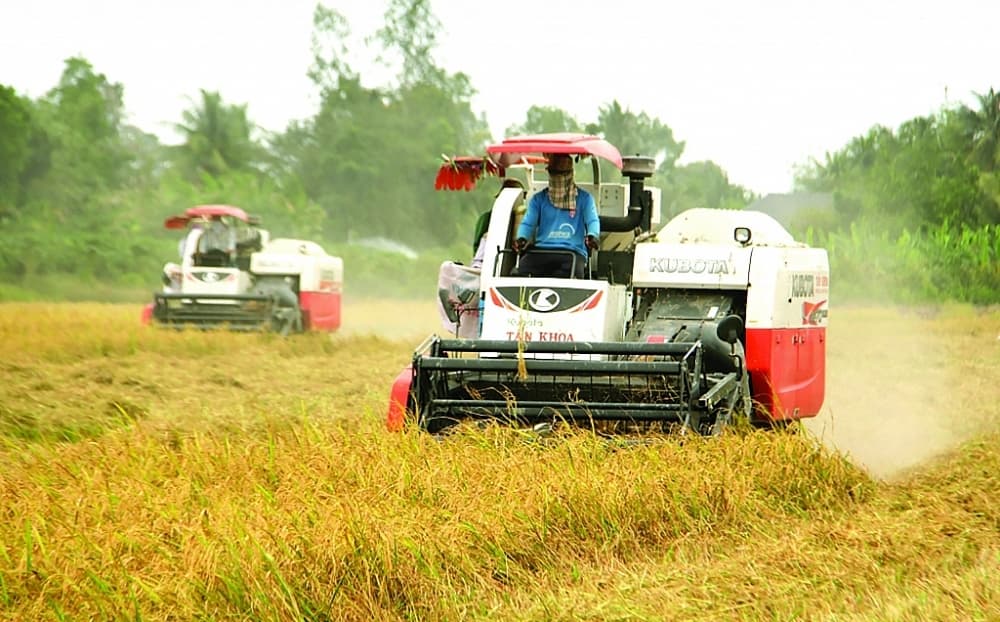 Digital transformation to make Vietnamese agricultural products reach further