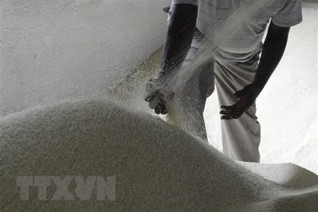 Bangladesh approves proposal to import rice from Vietnam