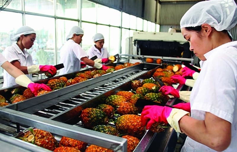 Fruit and vegetable exports see many positive signs in 2021