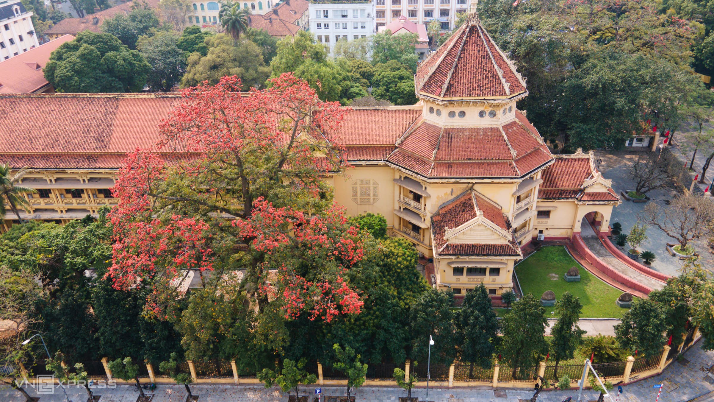 Hanoi dotted with kapok tree blossoms