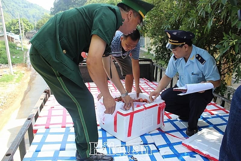 Lang Son Customs: Together with agricultural export enterprises to stablise business opeations