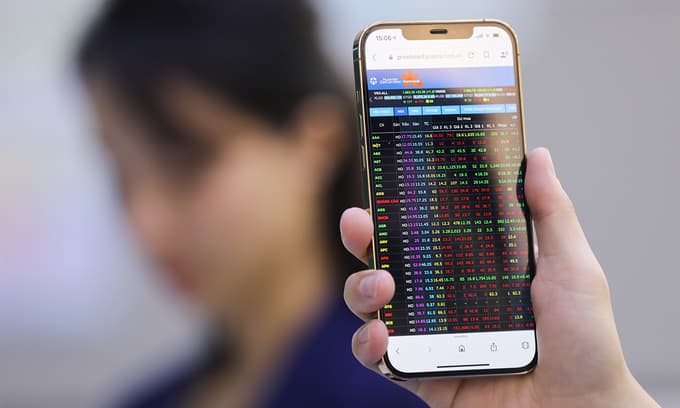 VN-Index steadies despite blue chip plunge