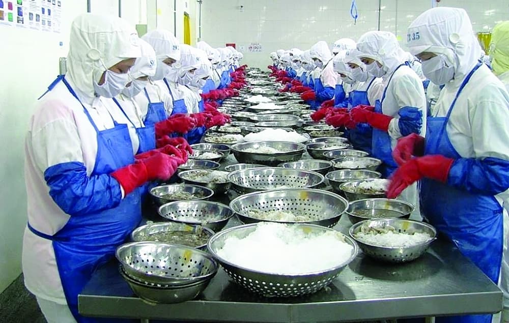 Half a year later, how has the EVFTA increased exports?