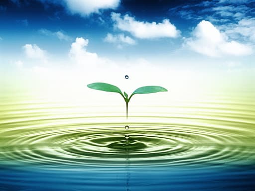 Gov't Plans To Build National Water Resource Monitoring System By 2030