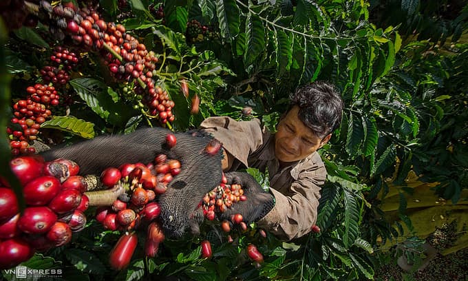 Rich nation appetites driving tropical deforestation