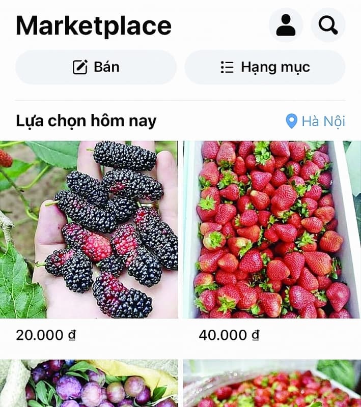 Suggest separate regulations on customs procedures for goods transactions via e-commerce
