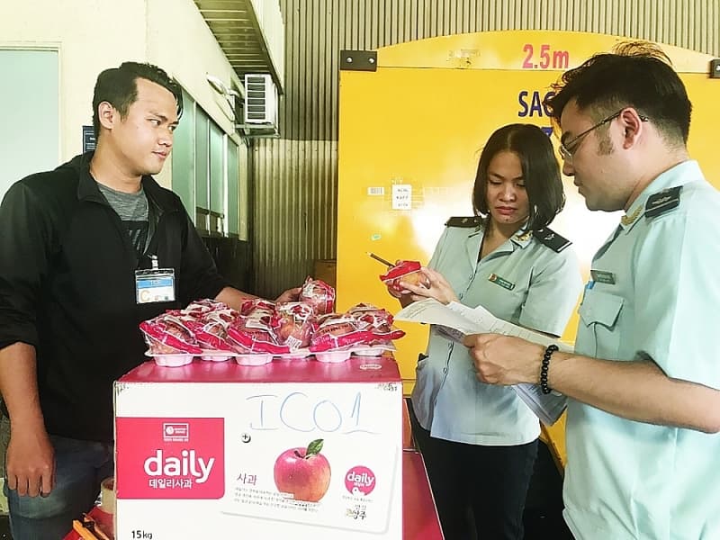 Tan Son Nhat Airport customs ready to deploy automatic supervision