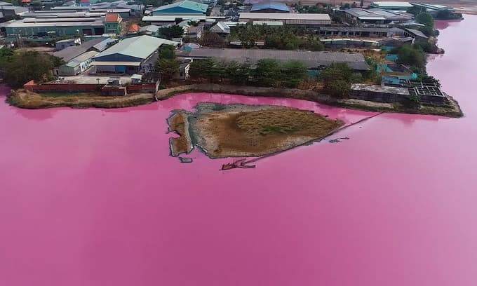 Detention basin adopts alien color, releases foul smell