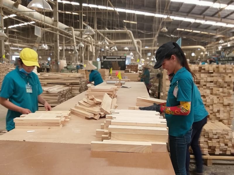 China put capital into the wood industry, worry about illegal investment from it