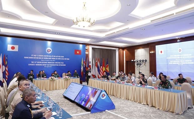 Vietnam, Japan co-chair 14th meeting of EWG on peacekeeping operations