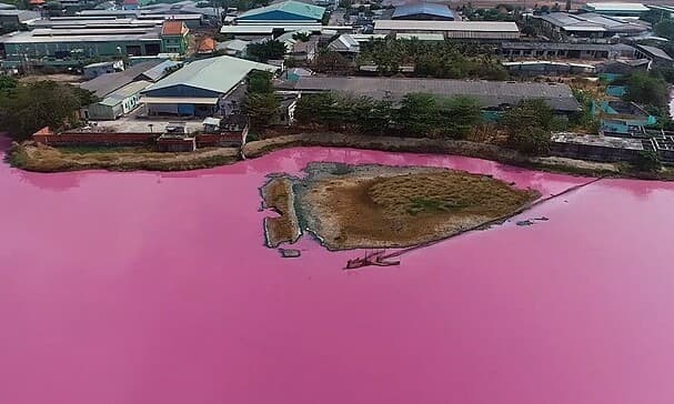 Get really tough on water polluters, experts advise Vietnam