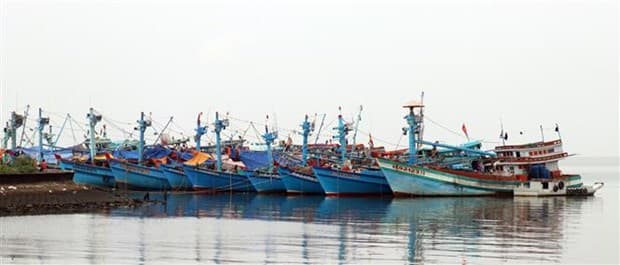Kien Giang making every effort to fight IUU fishing