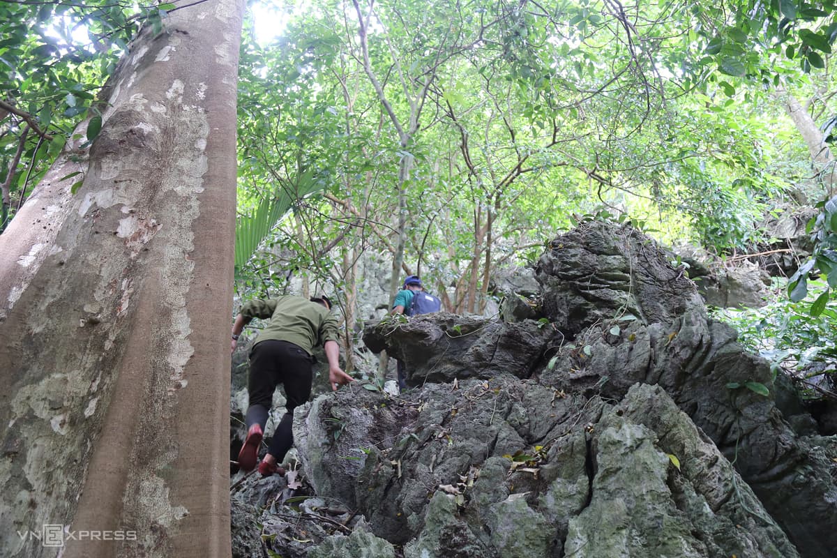 Underground stream discovered in Quang Tri cave