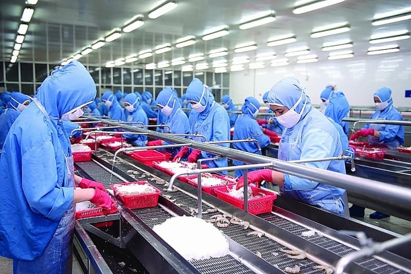 Many seafood exports have increased sharply